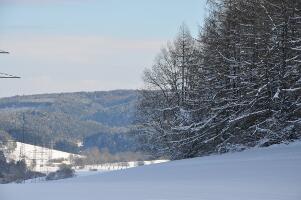 Winterwald am Osterkopf