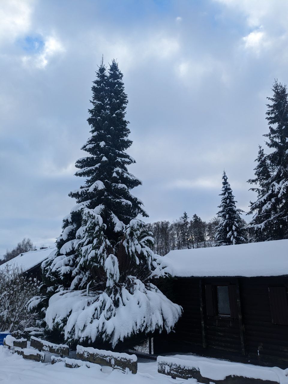 Winterbilder 2025